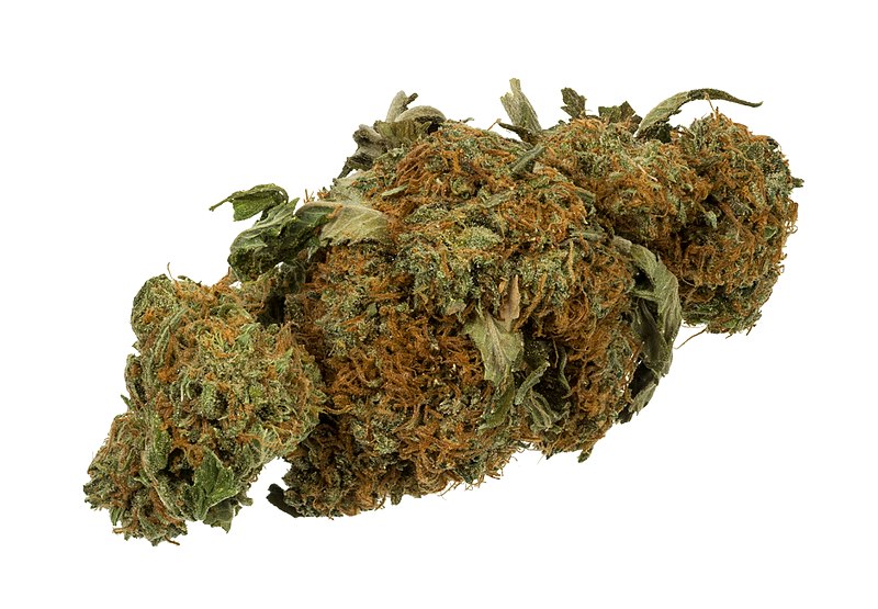 800px-Marijuana-Cannabis-Weed-Bud-Gram